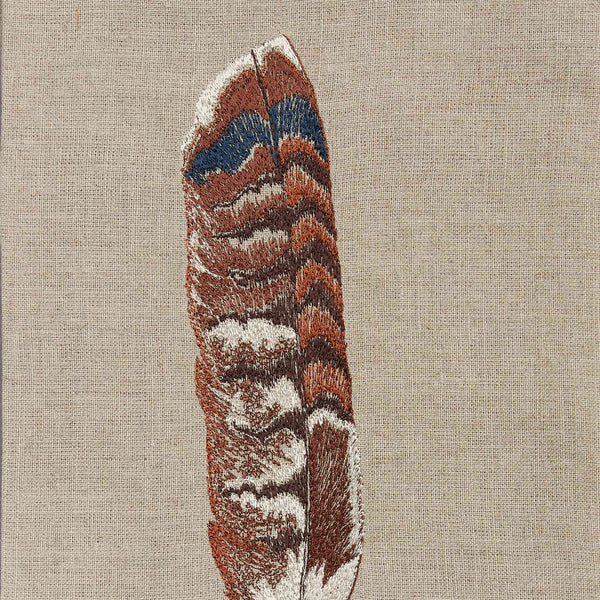 red tail hawk feather drawing