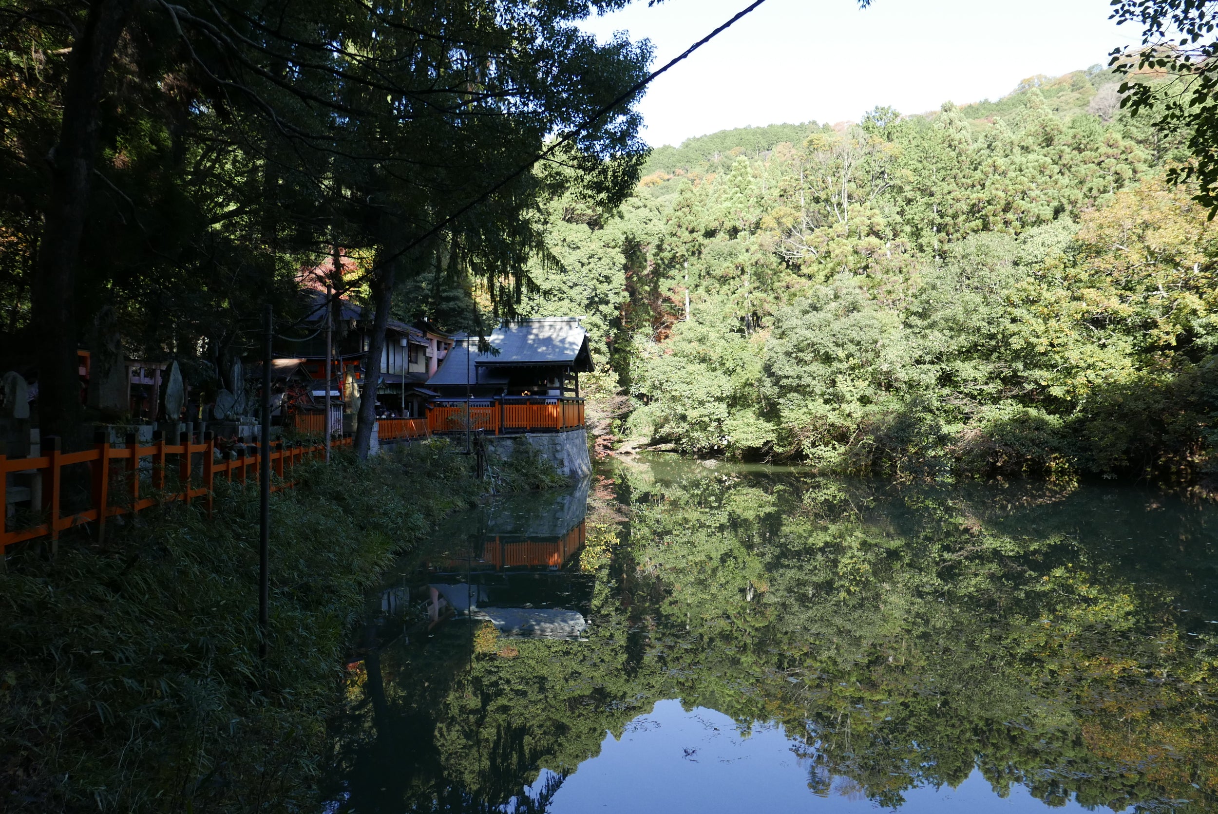 Coral and Tusk travel photo from Japan, landscape looking over water, orange fence and lookout on left, lush green forest on right.