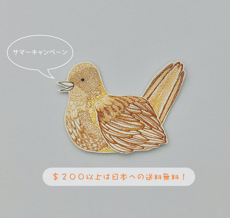 サマーキャンペーンのお知らせ