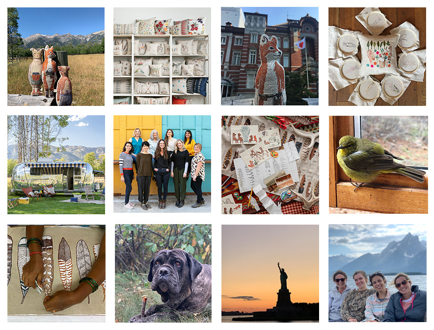 Image grid of 12 photos featuring Coral and Tusk's 2019 highlights.