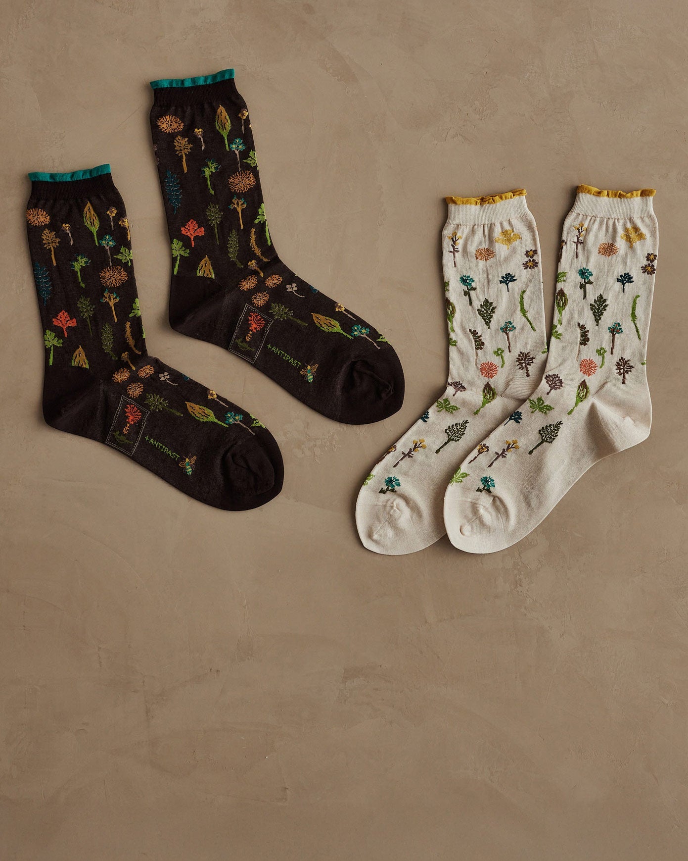 Coral & Tusk x Antipast garden socks