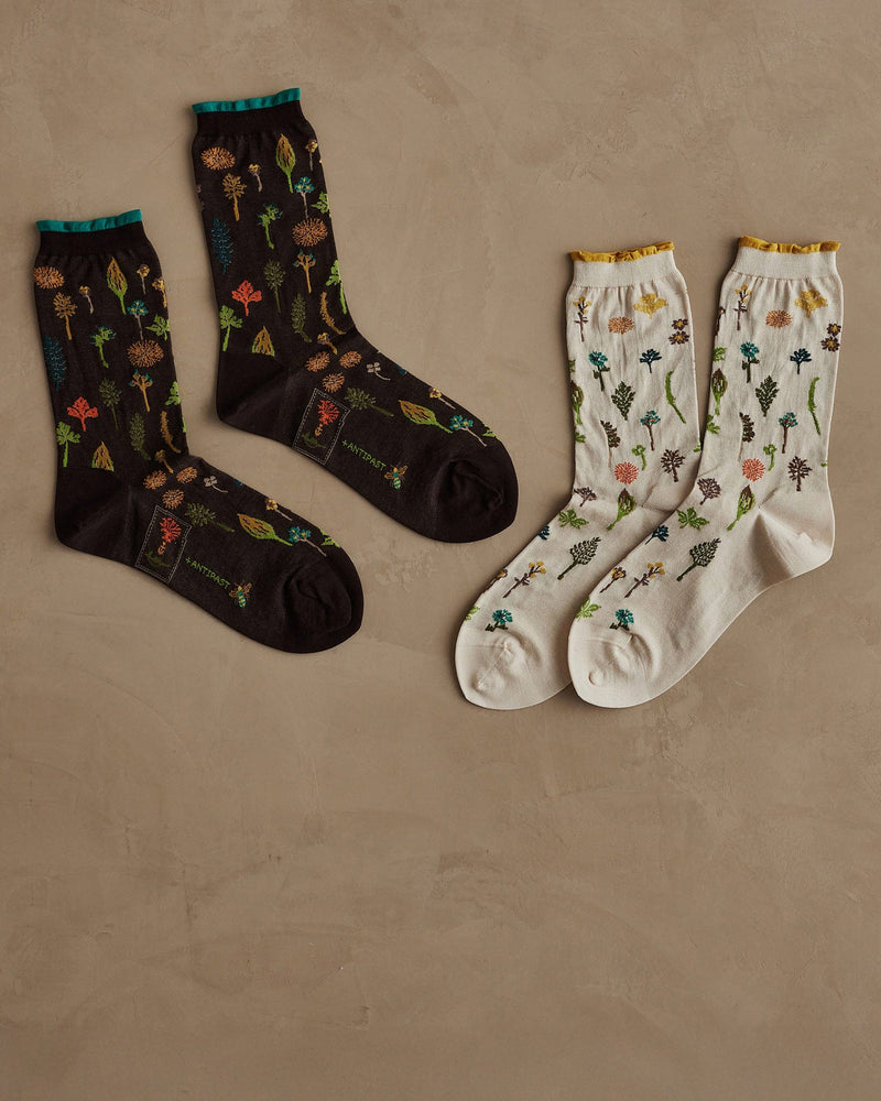 Coral & Tusk x Antipast garden socks