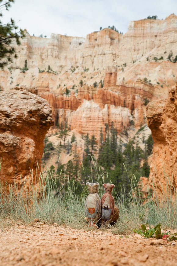 Photograph of Coral and Tusk Bear Doll in the Zion narrows.