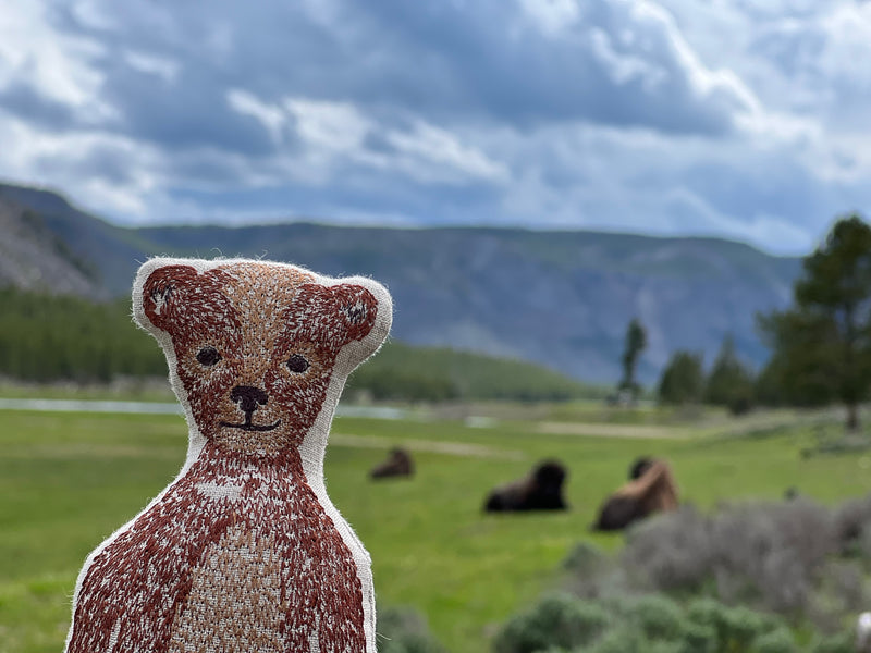 Coral and Tusk Bear Pocket Doll posed in front of Wyoming landscape, green field, forest, and blue sky, Bison lounging in the background.