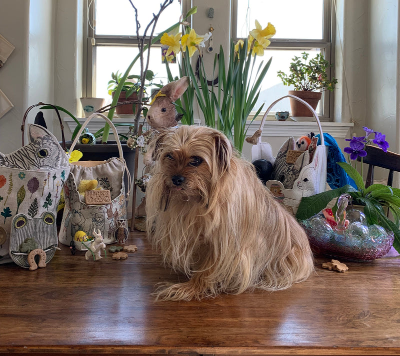 Dog Easter Basket Inspiration