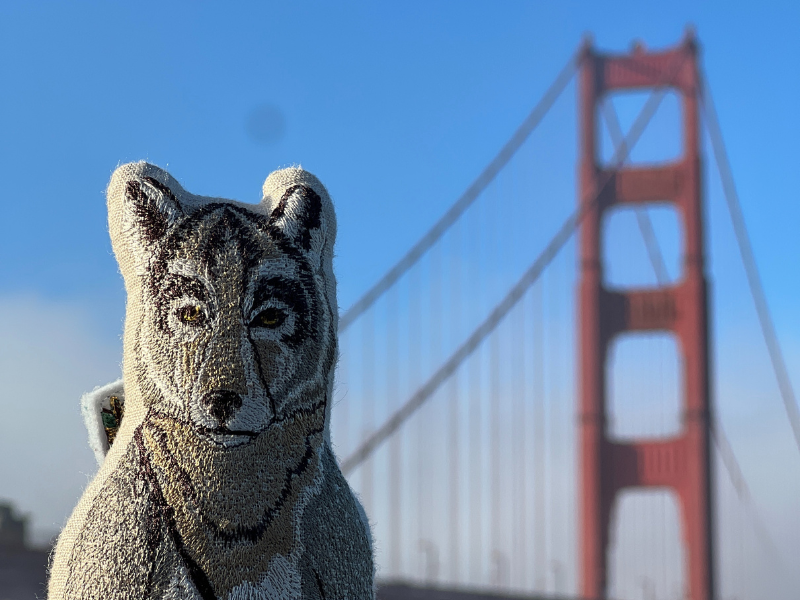 California Book Tour and Travel Highlights