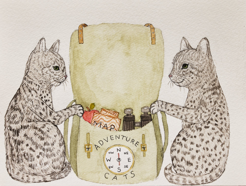 Introducing: Adventure Cats Series