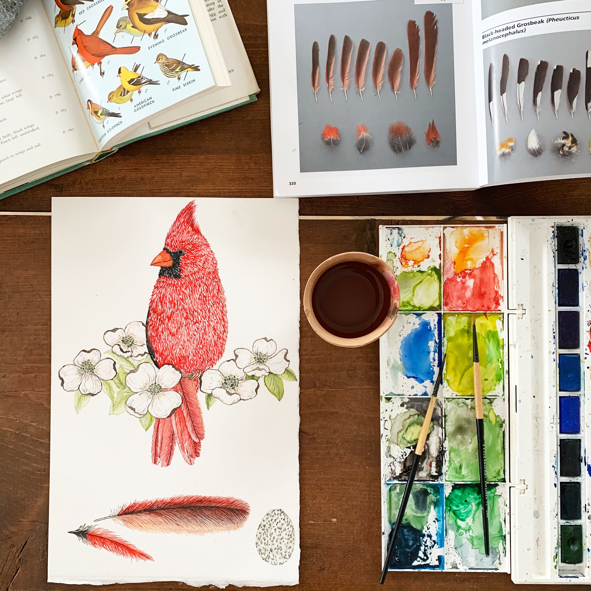 Watercolor image of red cardinal in Stephanie Housley's Wyoming studio