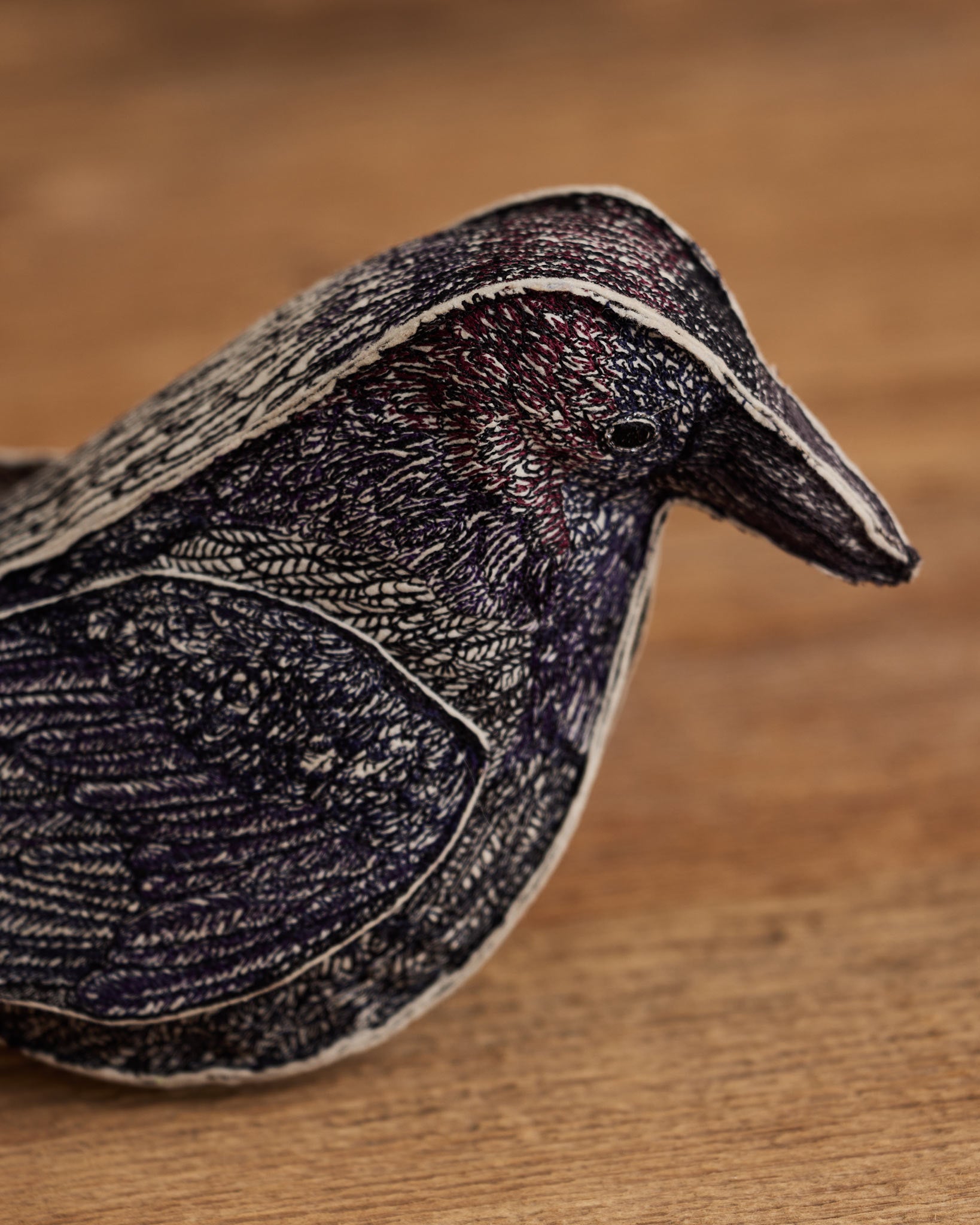 Blackbird of Mystery | Coral & Tusk