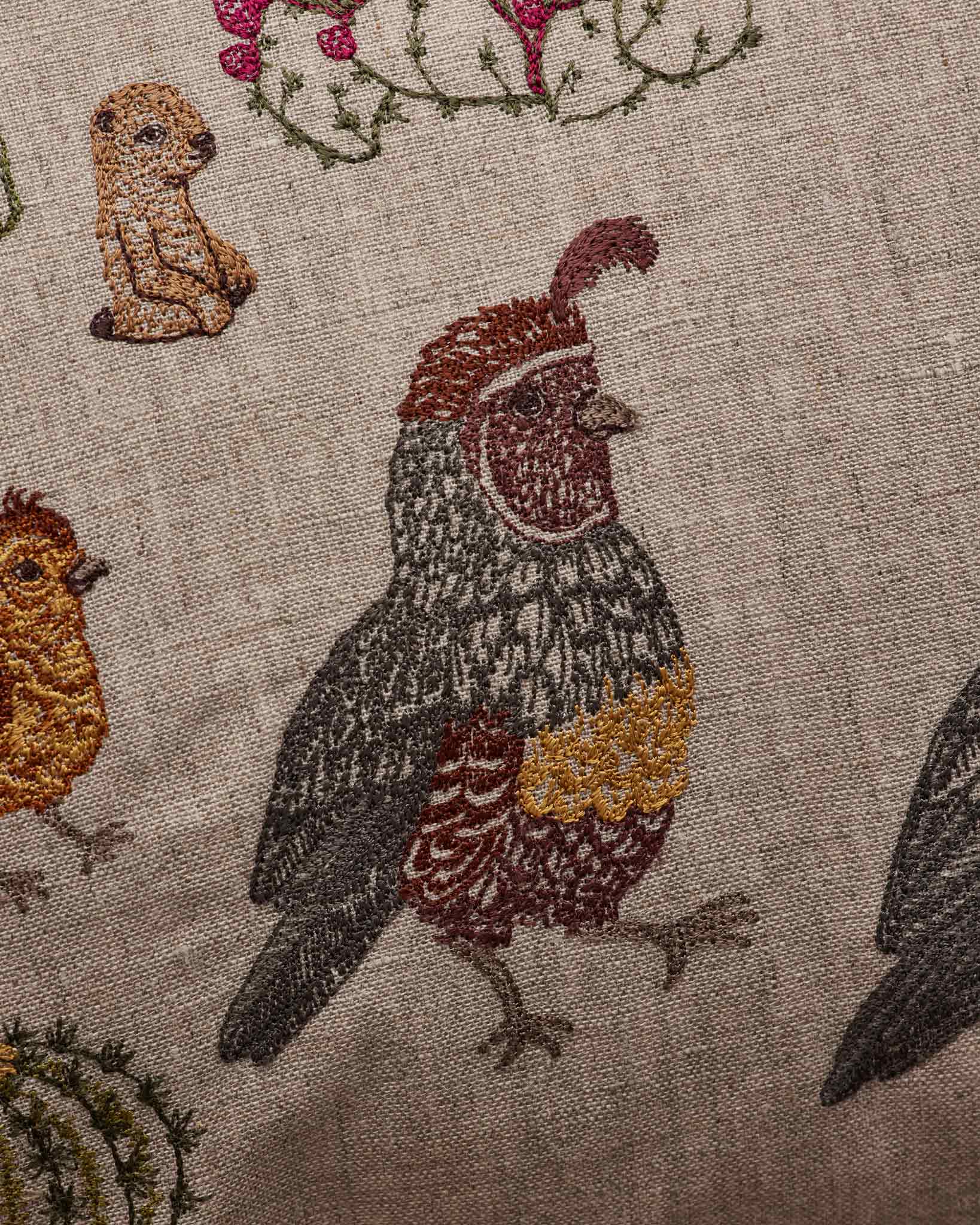 Desert Landscape Pillow