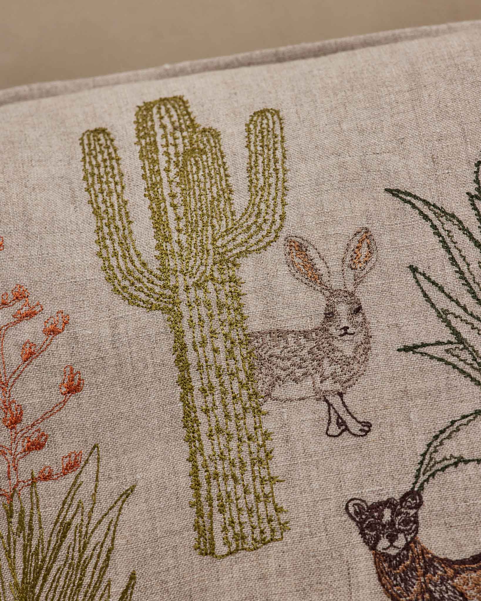 Desert Landscape Pillow