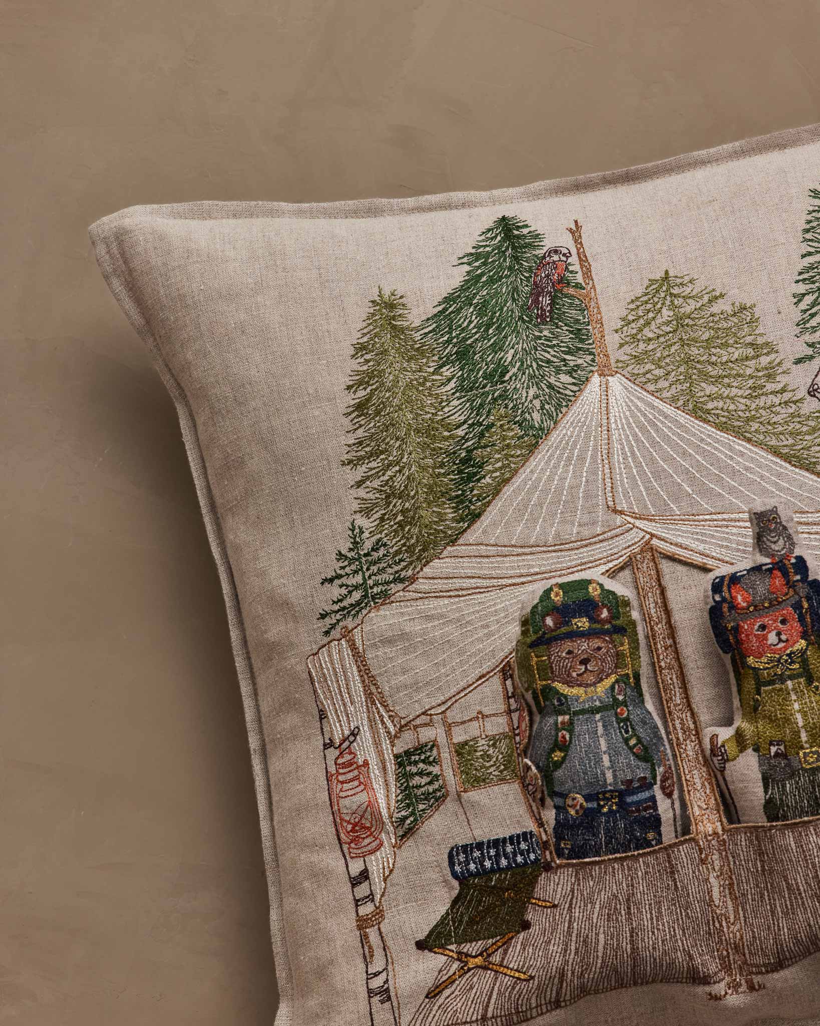 Explorers Pocket Pillow