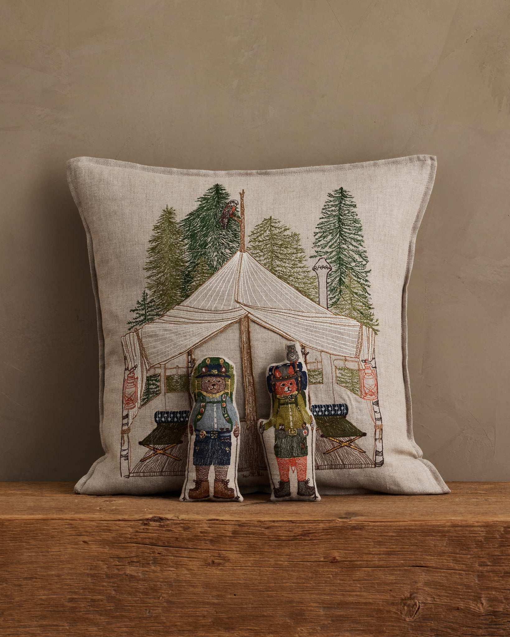 Explorers Pocket Pillow