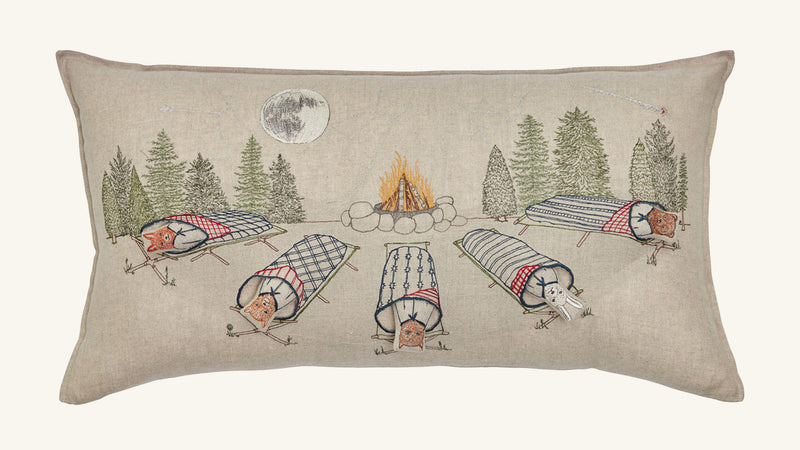 Stargazers Pocket Pillow