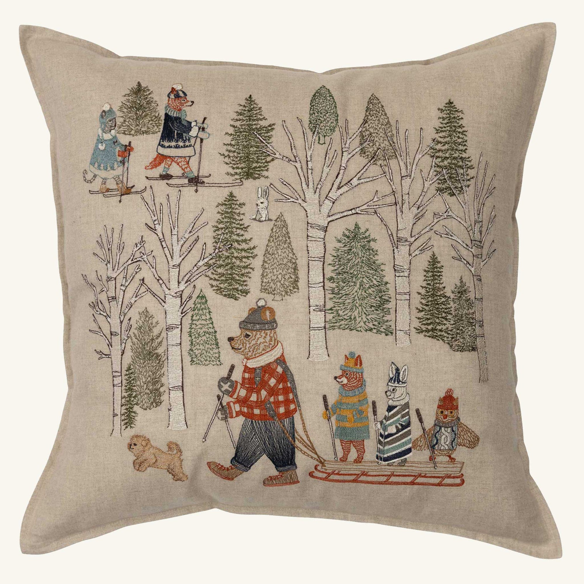 Winter Fun Pillow