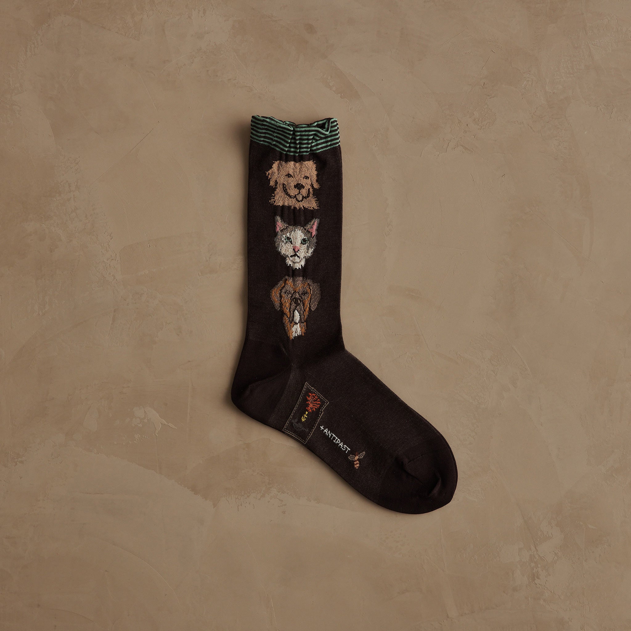 Coral & Tusk x Antipast Cats and Dogs Brown Socks