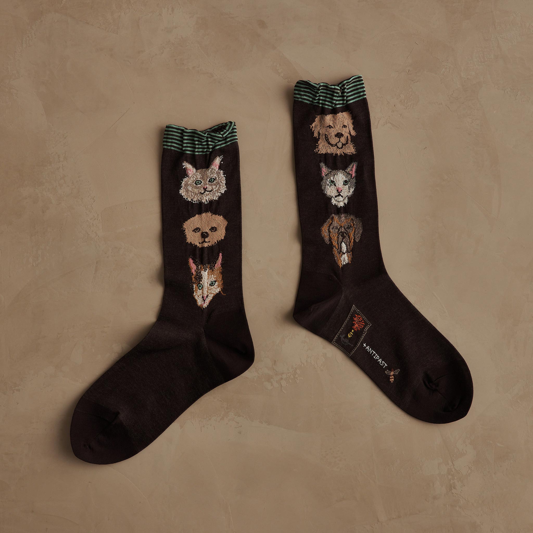 Coral & Tusk x Antipast Cats and Dogs Brown Socks