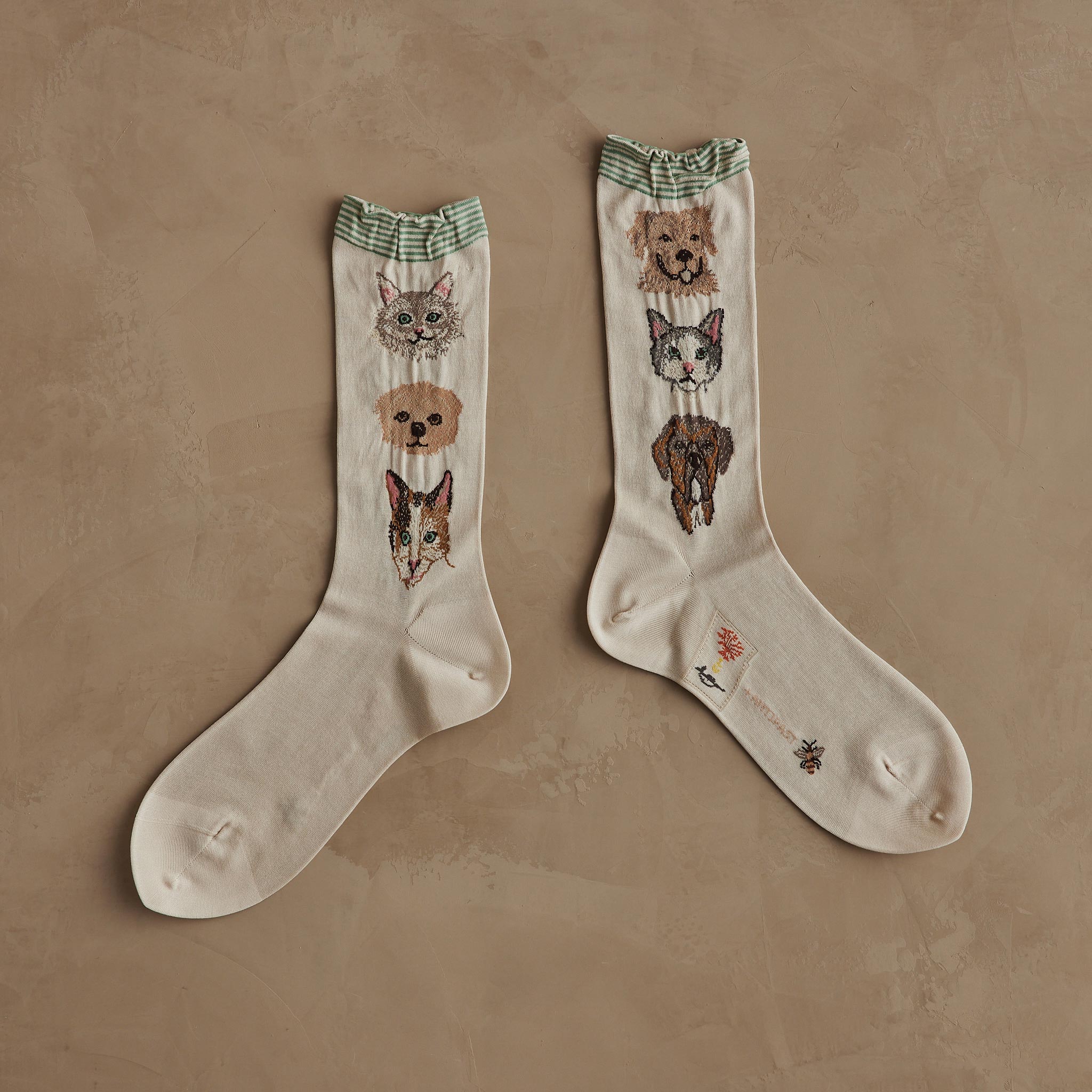 Coral & Tusk x Antipast Cats and Dogs Ivory Socks