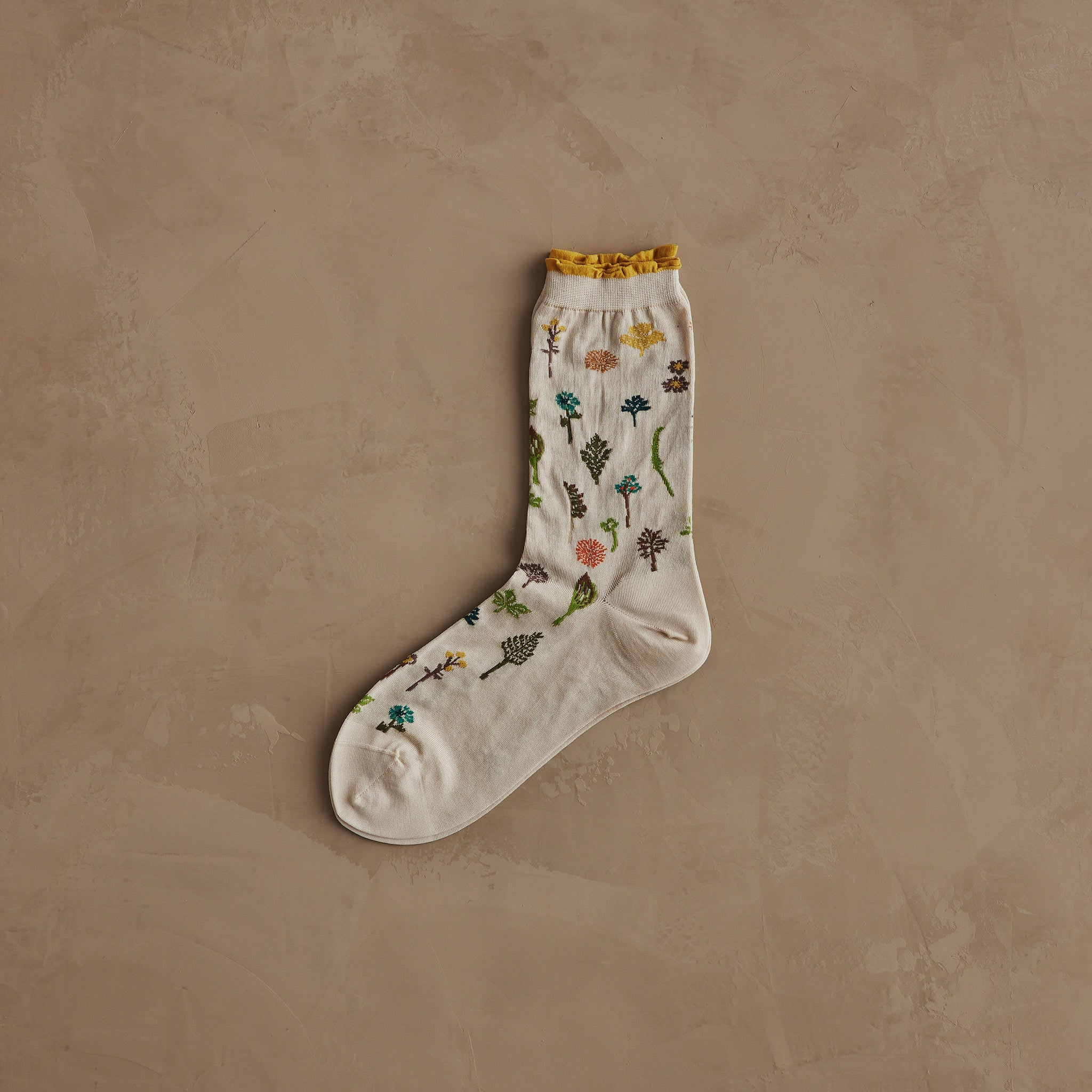 Coral & Tusk x Antipast Garden Ivory Socks