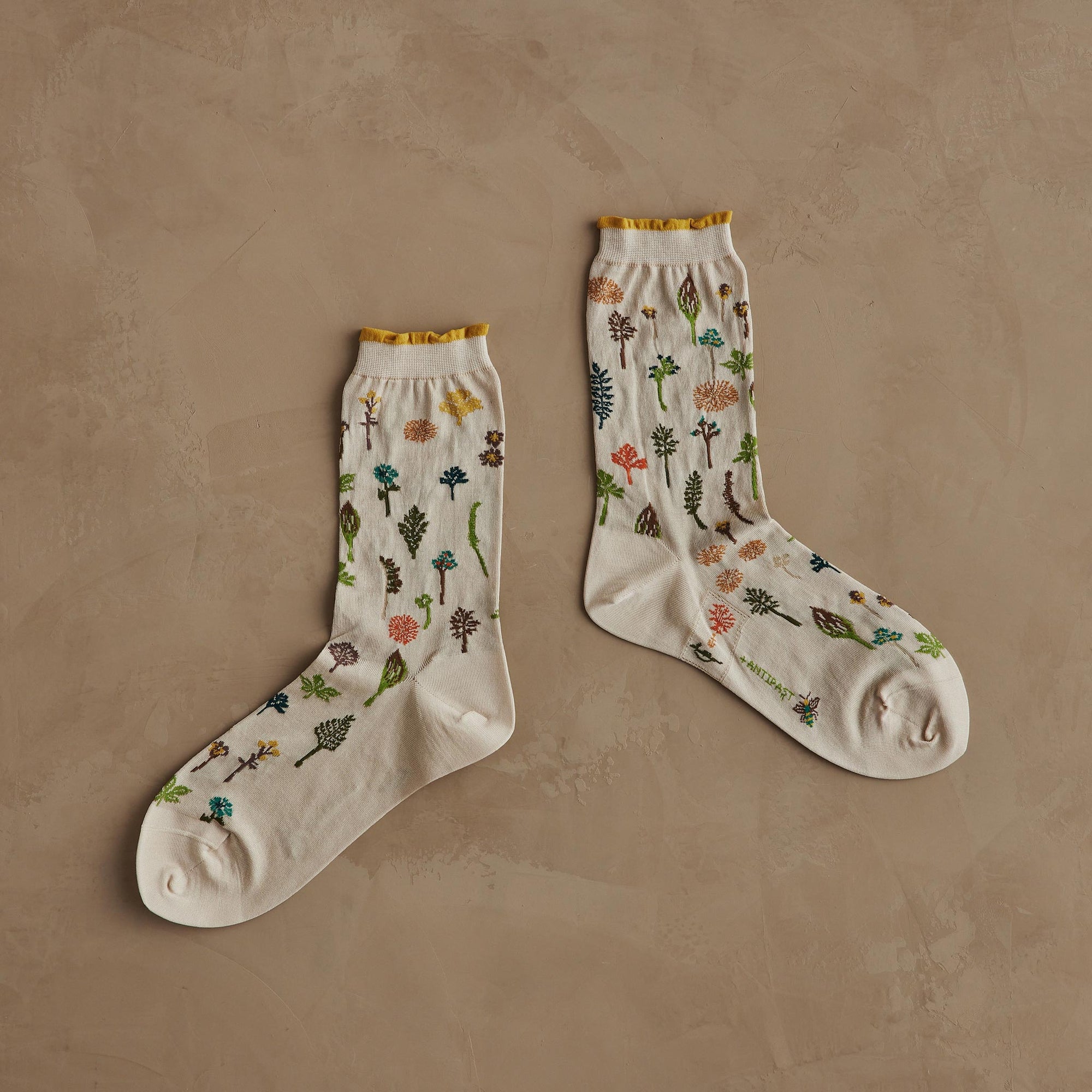 Coral & Tusk x Antipast Garden Ivory Socks