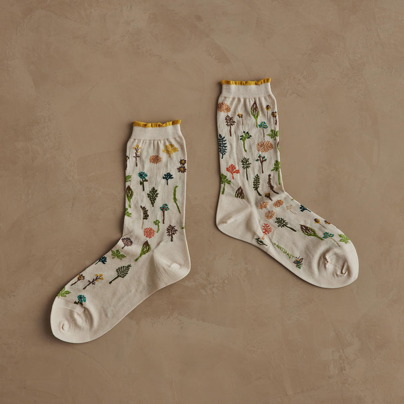 Coral & Tusk x Antipast Garden Ivory Socks