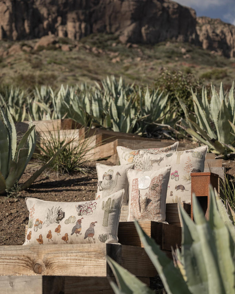 Moonrise Canyon Pocket Pillow