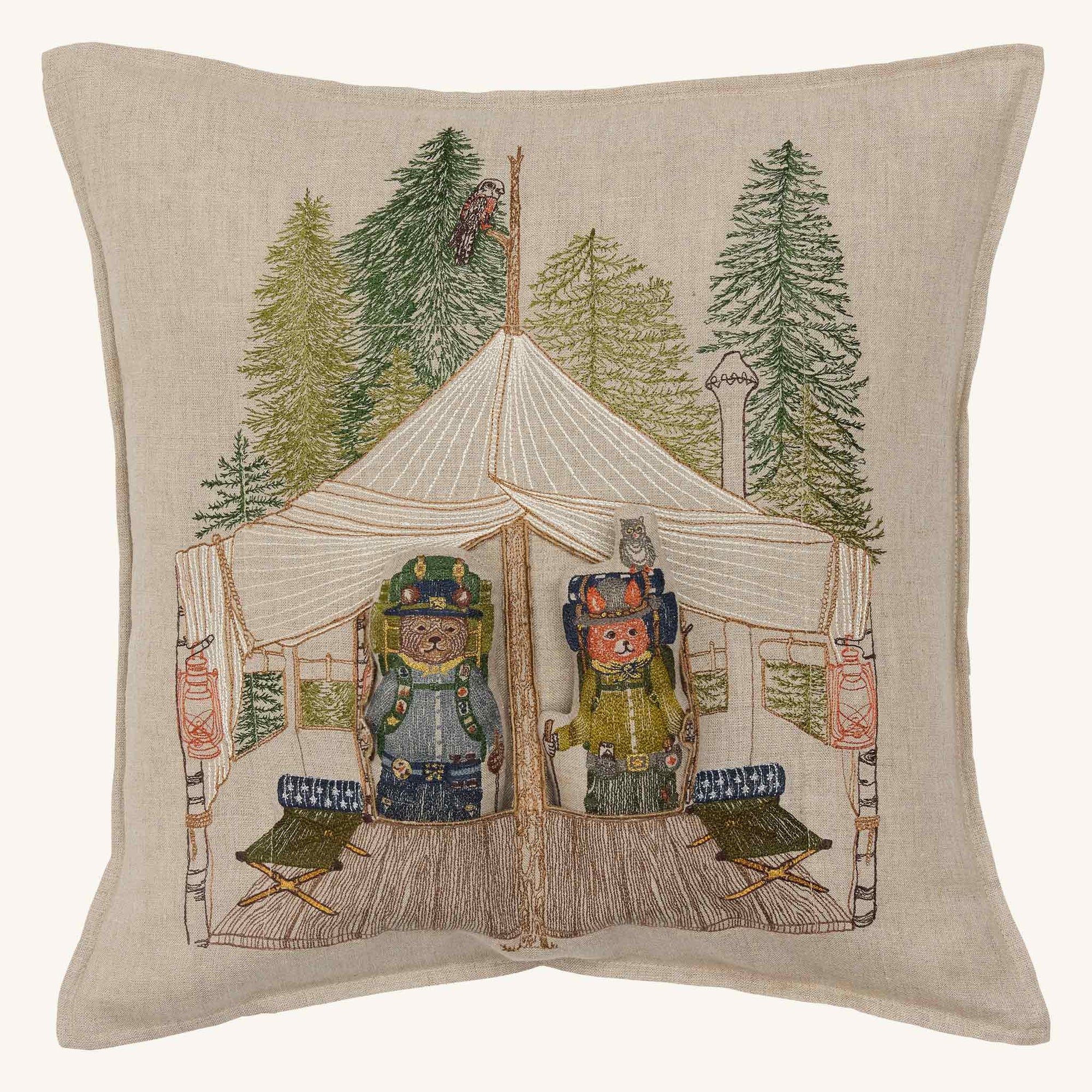 Explorers Pocket Pillow