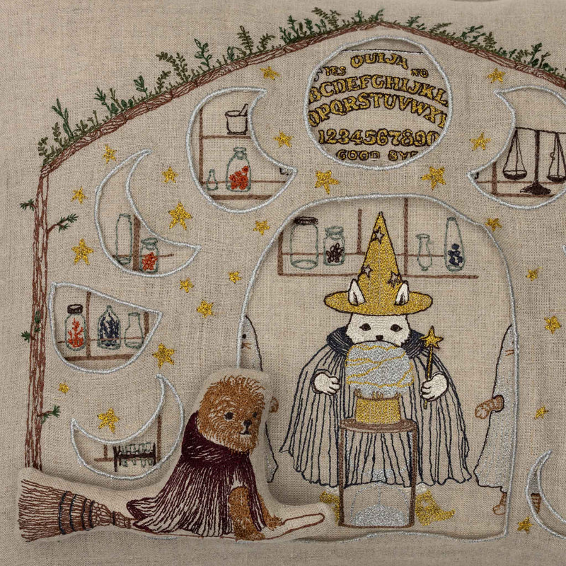 Magic Workshop Pocket Pillow