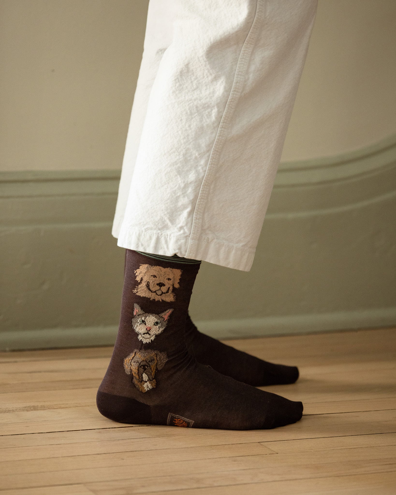 Coral & Tusk x Antipast Cats and Dogs Brown Socks