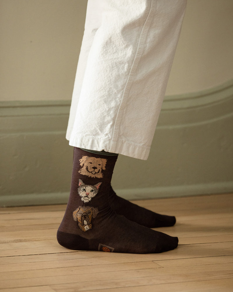 Coral & Tusk x Antipast Cats and Dogs Brown Socks