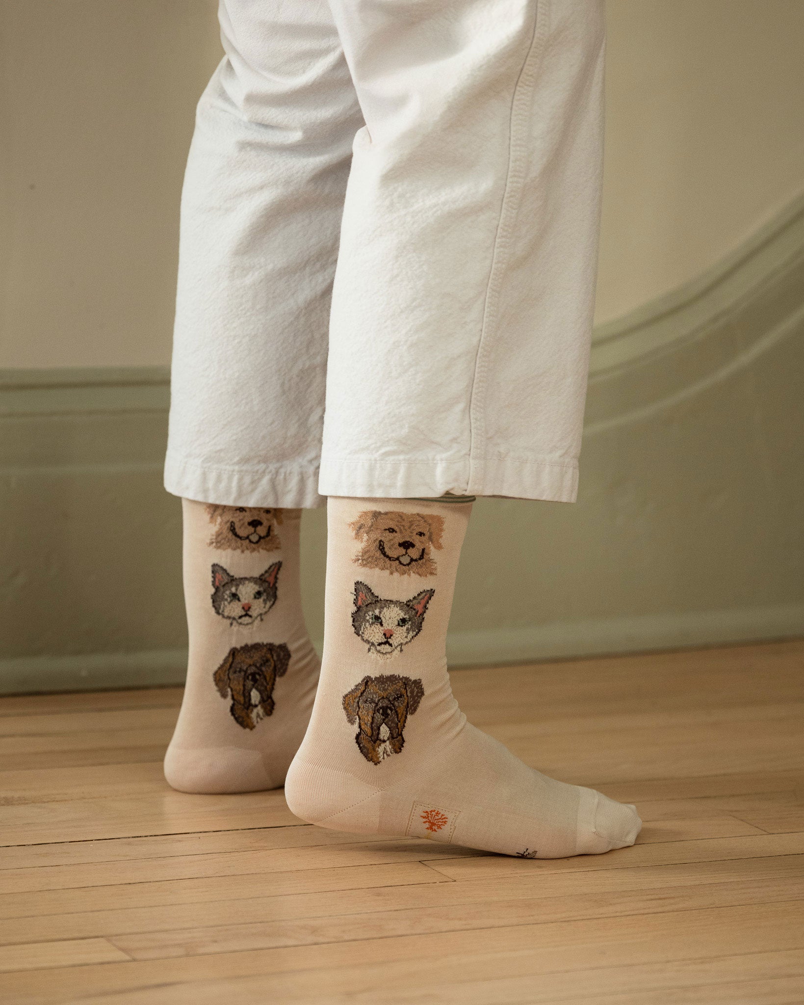 Coral & Tusk x Antipast Cats and Dogs Ivory Socks