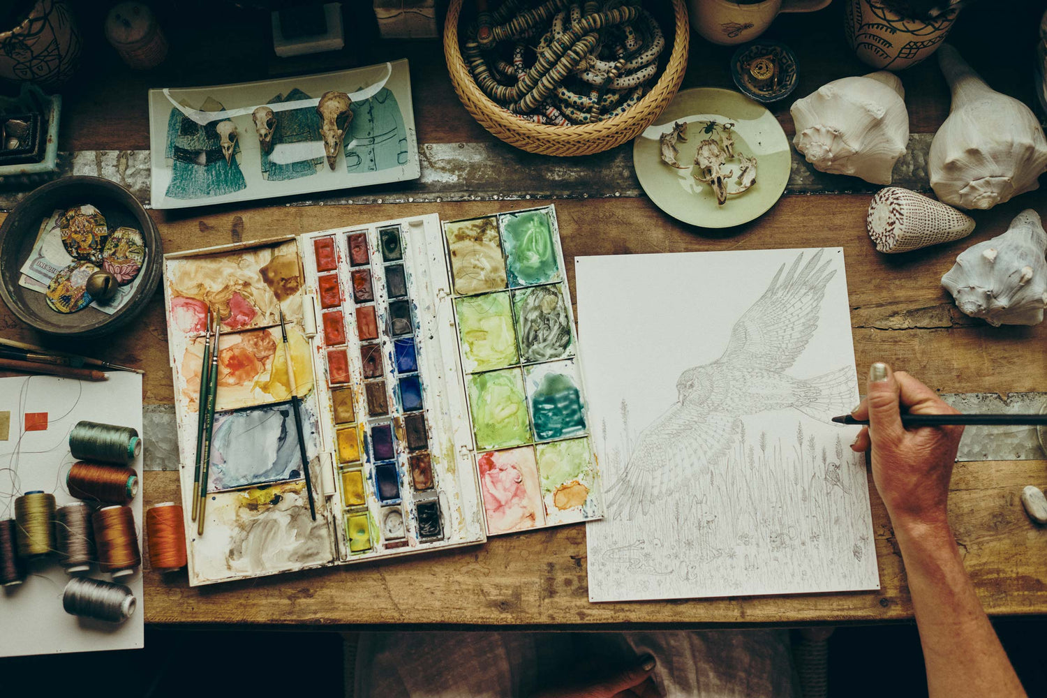 【週末限定価格】Coral & Tusk コーラルアンドタスク アート 額入り 週末限定価格】Coral & Tusk コーラルアンドタスク アート 額