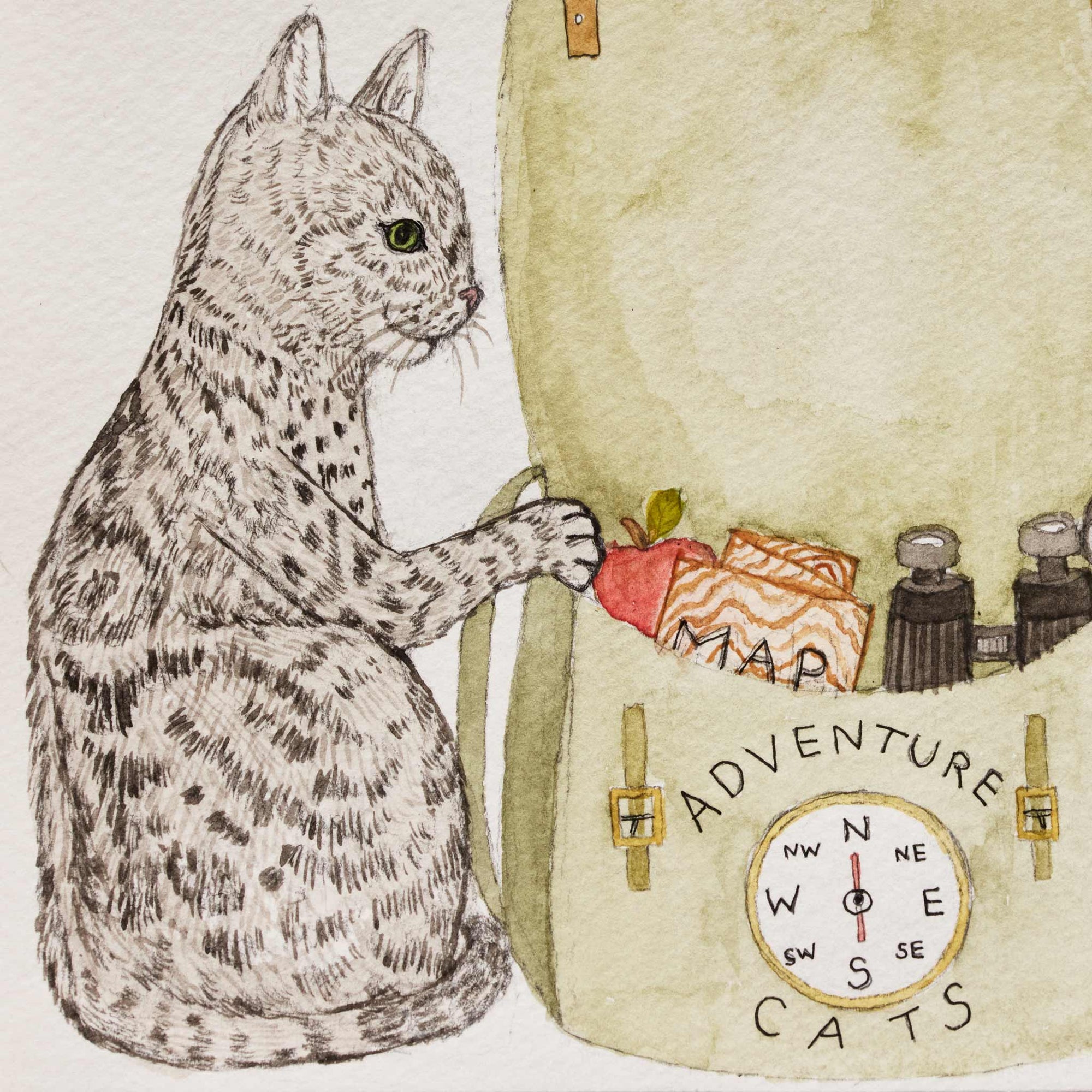 Adventure Cats Card 2026
