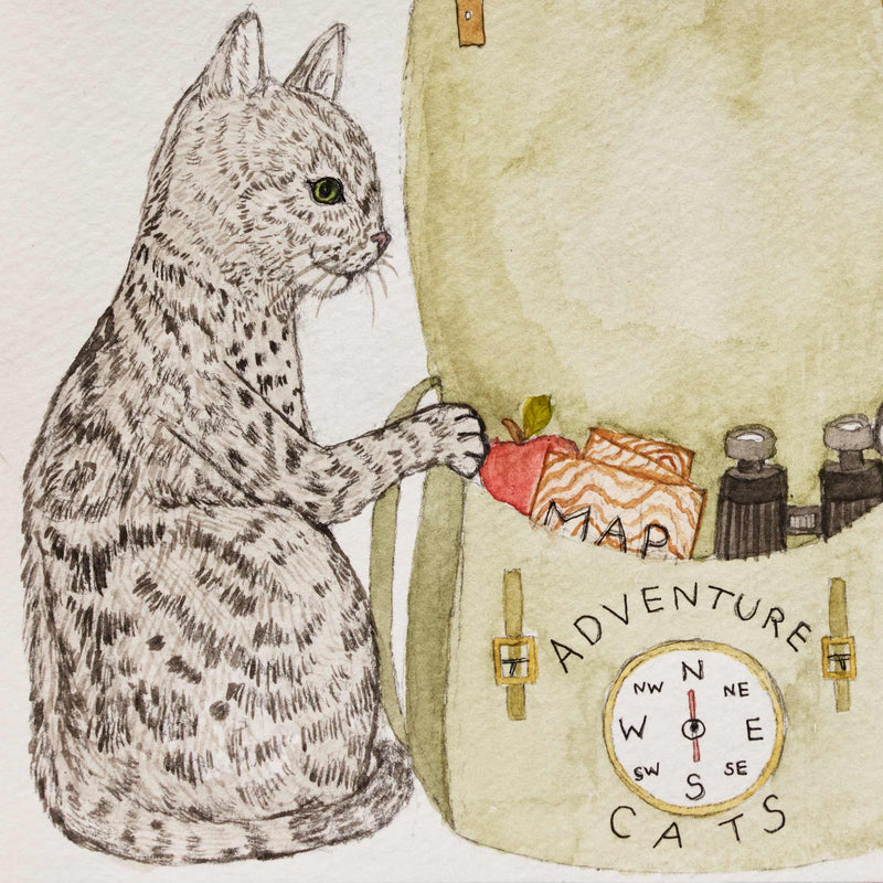 Adventure Cats Card 2026
