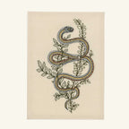 Seconds Sale Garter Snake Card #2 - NEW YEARS MESSAGE ON BACK